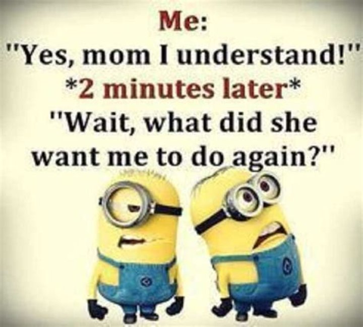 30 funniest minion memes every Facebook mom will be obsessed with ·