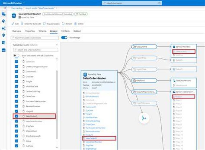azure.purview.catalog.rest.entity package — Azure SDK for Python 2.0.0 documentation