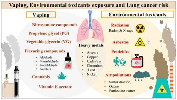 Can vaping cause mold?