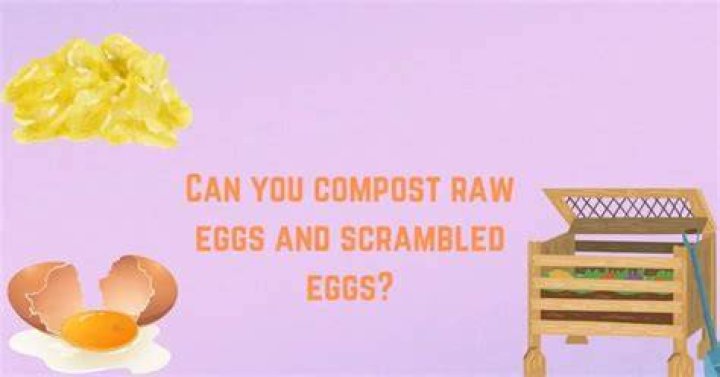 Can you compost scrambled eggs?