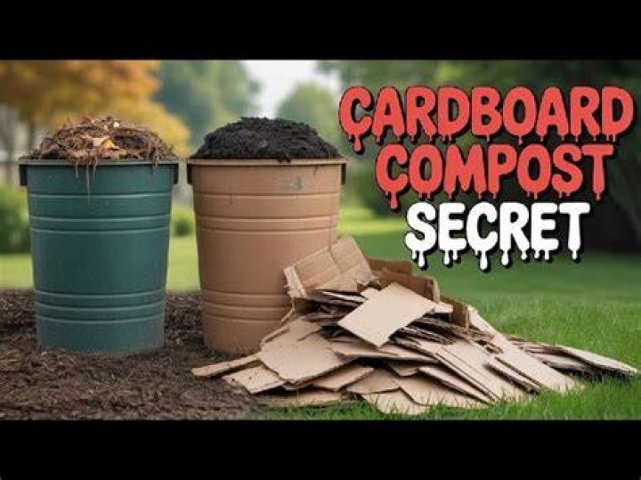 Can you put greasy cardboard in compost?