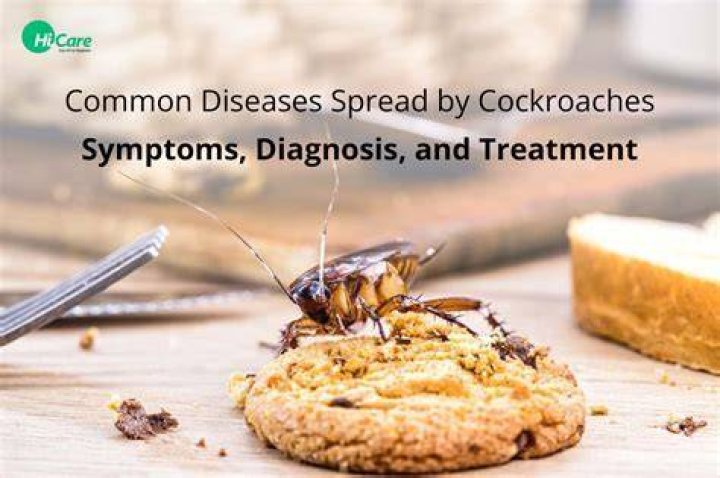 Do cockroaches cause leprosy?