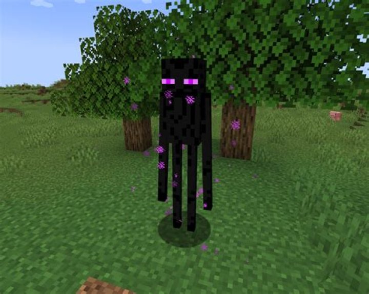 Do endermen teeth?