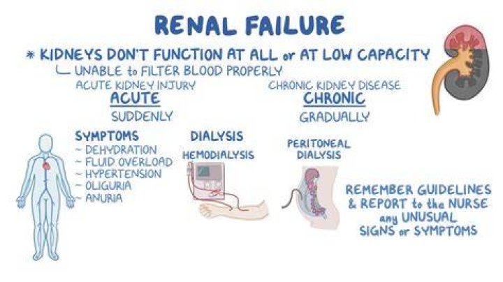 Do you stop peeing with kidney failure?