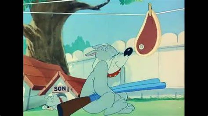 Does Jerry eat meat?