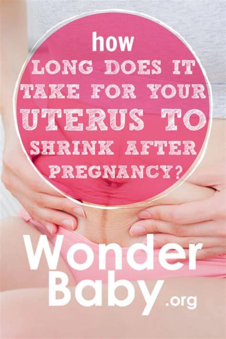 How long does it take for your uterus to shrink after birth?