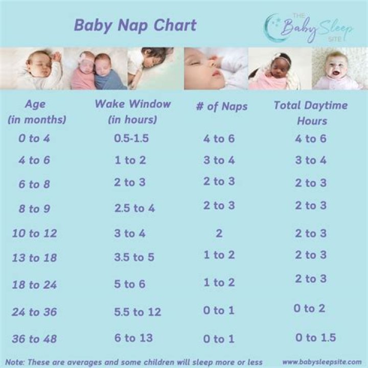 How many naps should a 4 month old take?