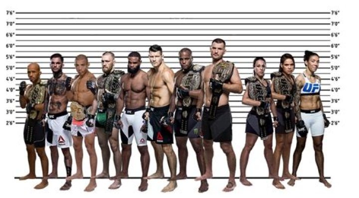 How Tall Is The UFC Heavyweight Champ?