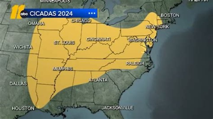 Interesting Revelations Emerge In The Drew Gulliver Leaks