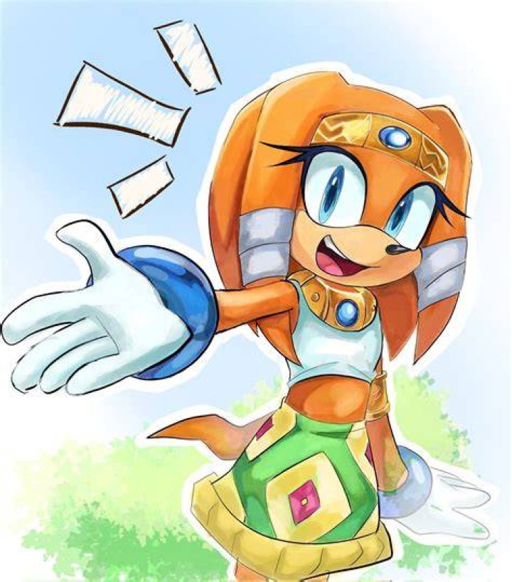 Is echidna Sonic?