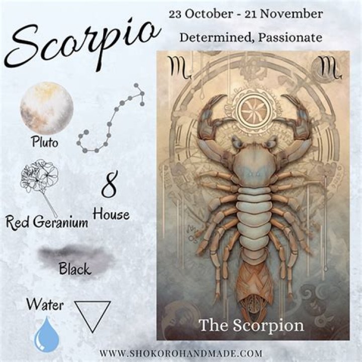 Scorpio Zodiac Sign: Essential Month Guide