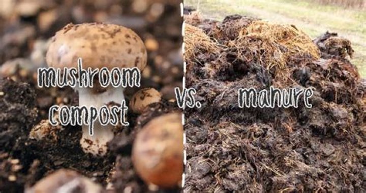 Should I pee on my compost?