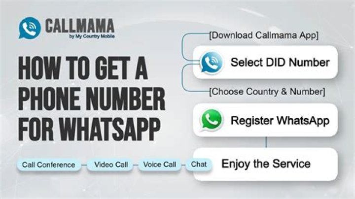 Smelly Belly TV Phone Number, WhatsApp Number Contact Mobile ·