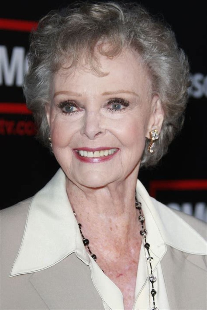 The Alluring Career Of Rosemarie DeWitt: A Hollywood Icon