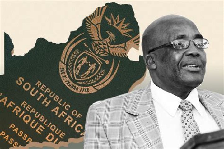 The Ultimate Guide To Aaron Motsoaledi's Family: A Comprehensive Overview