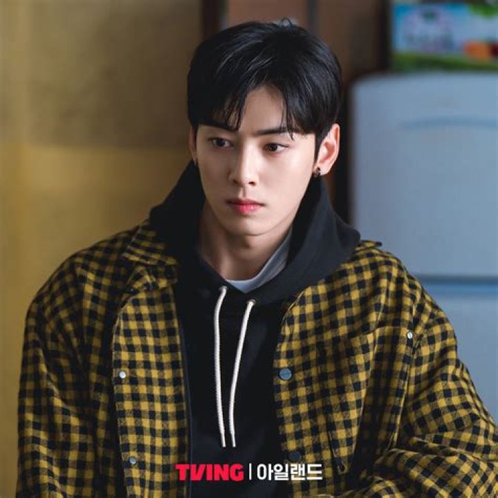 Unmissable TV Shows Starring The Phenomenal Cha Eun-woo