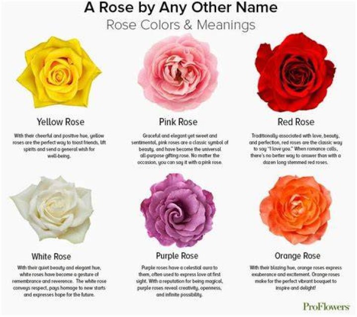 What does 7 roses mean?