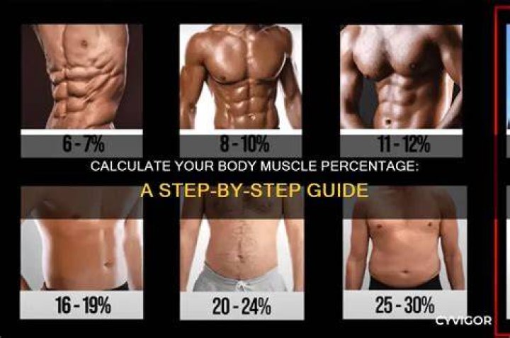 What is a good muscle mass percentage?