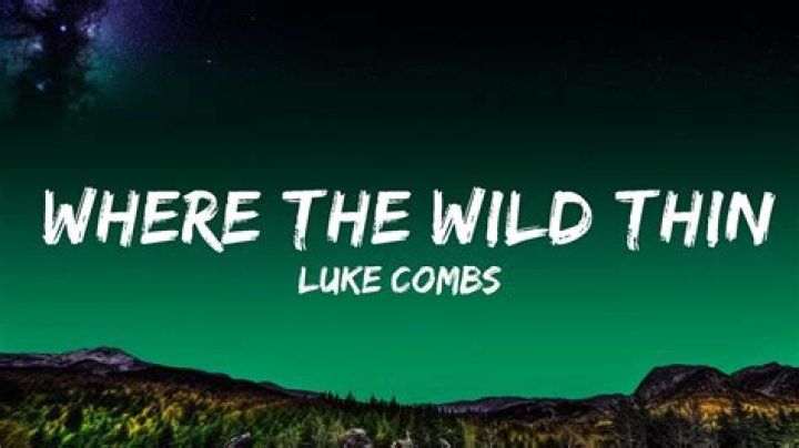 Who Authored Luke Combs' "Where The Wild Things Are"?