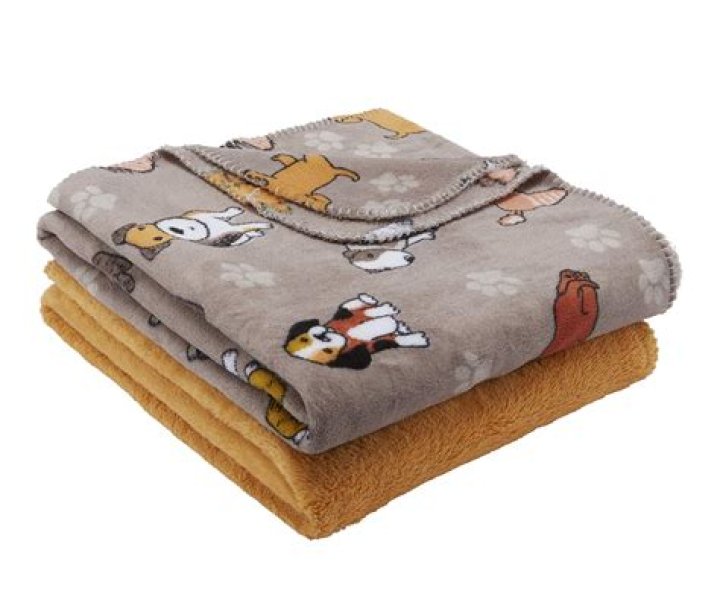 Why do dogs scrunch up blankets?