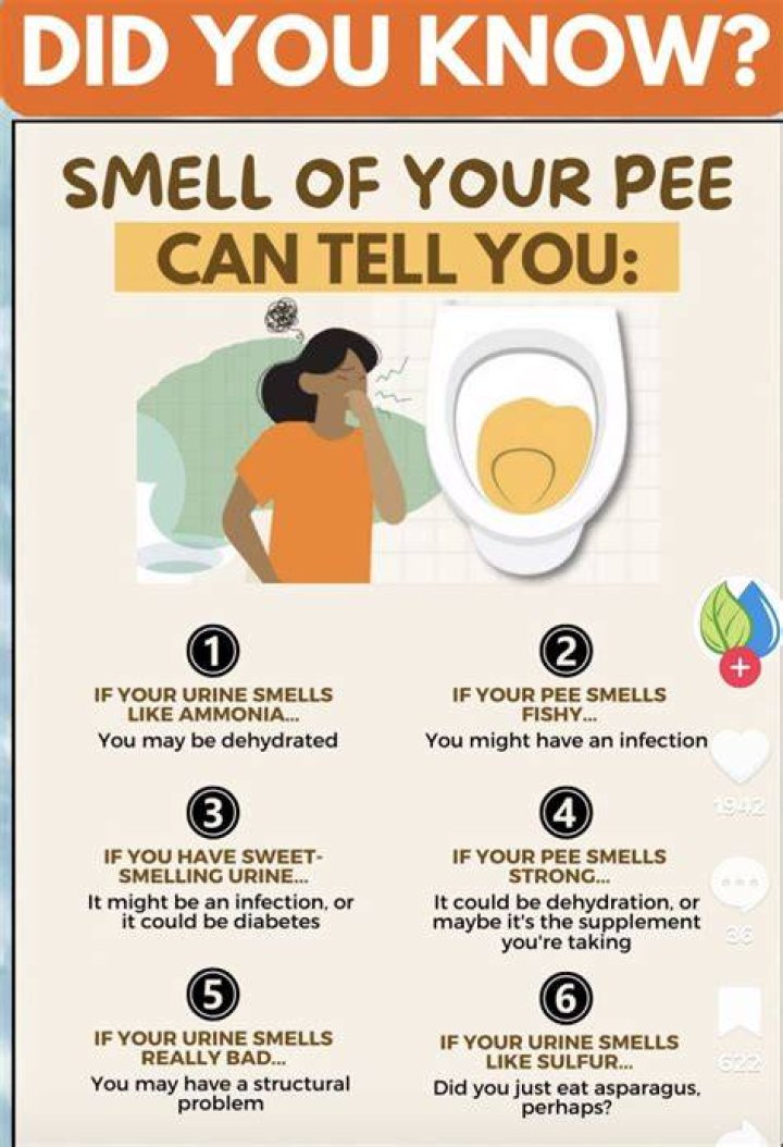 Why do I smell like pee?