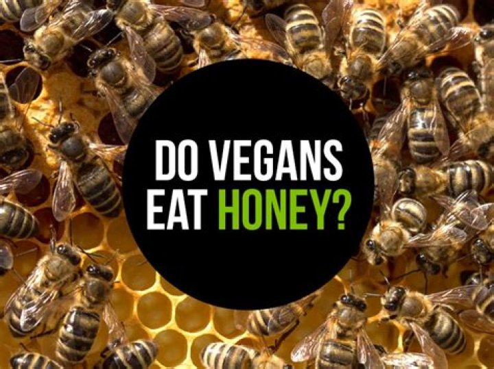 Why do vegans not eat honey?