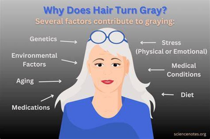 Why does my four year old have a grey hair?